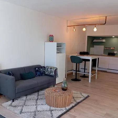 Appartement Hotes Entier Millau Compeyre Buitenkant foto