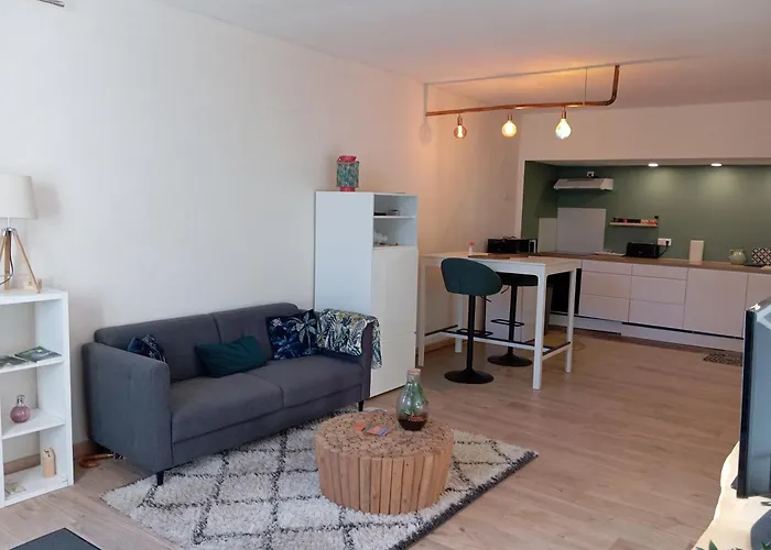 Appartement Hotes Entier Millau Compeyre